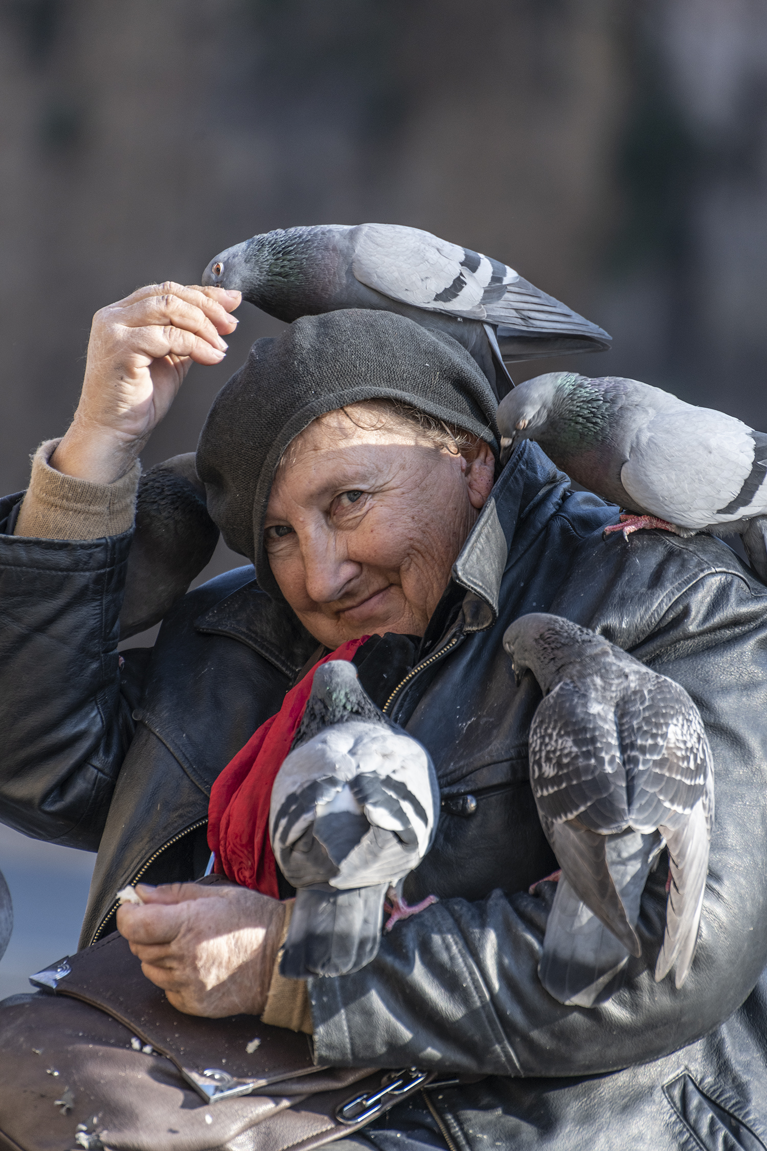 Oude vrouw voert duiven (Rome, Italië)