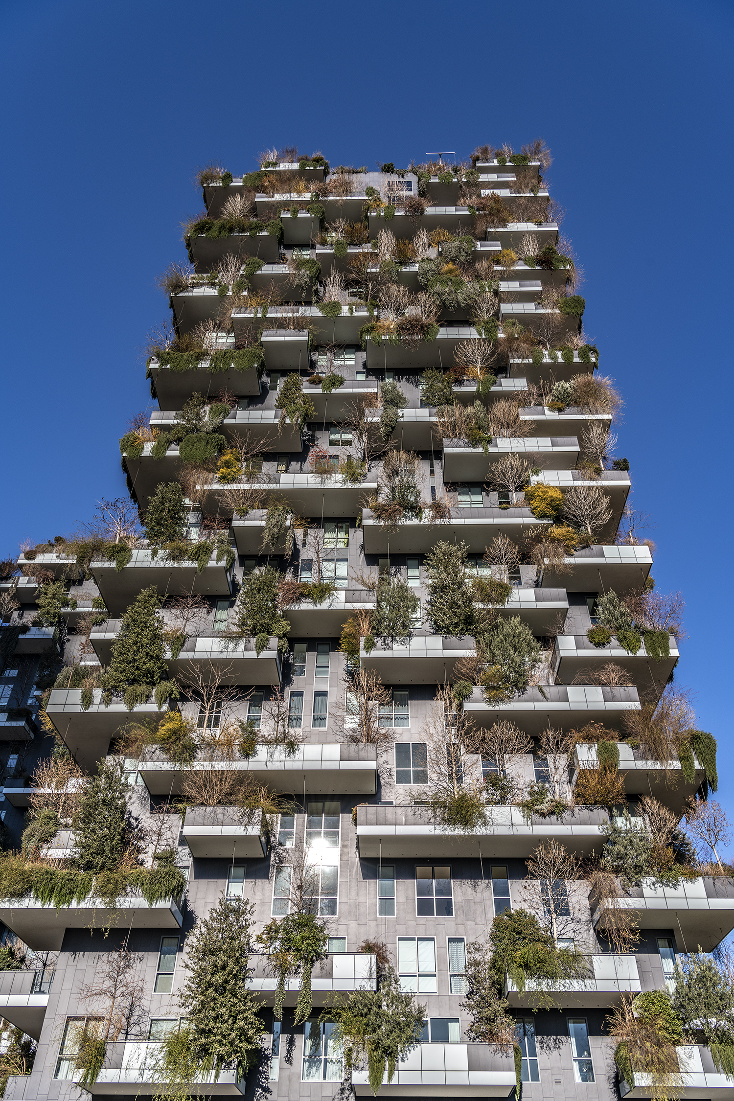 Residential tower block with trees - vertical forest (Milan, Italy)